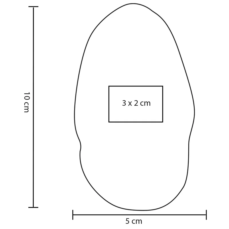 POTATO 3